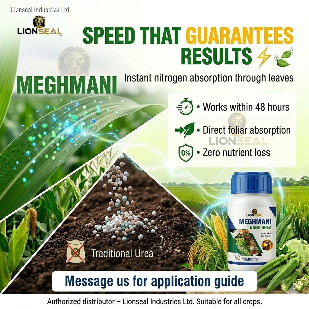 Stop Pouring Money in the Dust